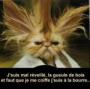 mdr