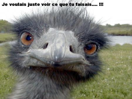 mdr !!!!!