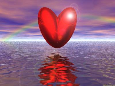 amour